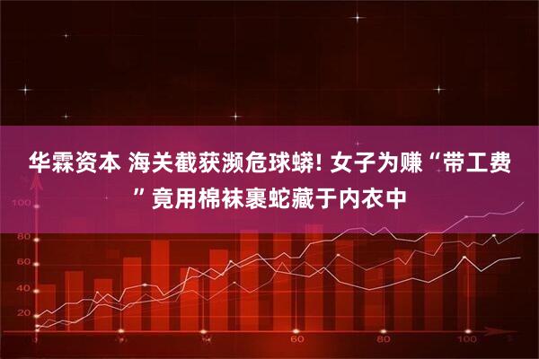 华霖资本 海关截获濒危球蟒! 女子为赚“带工费”竟用棉袜裹蛇藏于内衣中