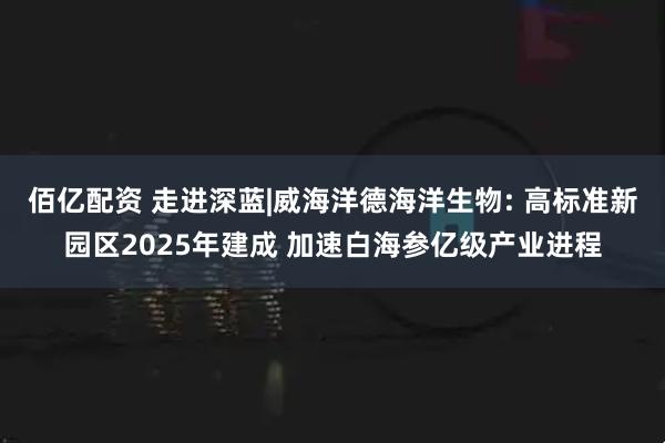 佰亿配资 走进深蓝|威海洋德海洋生物: 高标准新园区2025年建成 加速白海参亿级产业进程
