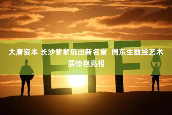 大唐资本 长沙爹爹玩出新名堂  周东生数绘艺术展惊艳亮相