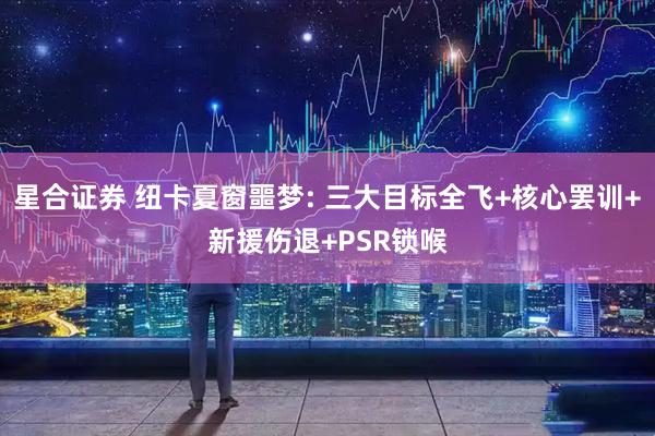 星合证券 纽卡夏窗噩梦: 三大目标全飞+核心罢训+新援伤退+PSR锁喉