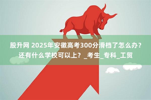 股升网 2025年安徽高考300分滑档了怎么办？还有什么学校可以上？_考生_专科_工贸