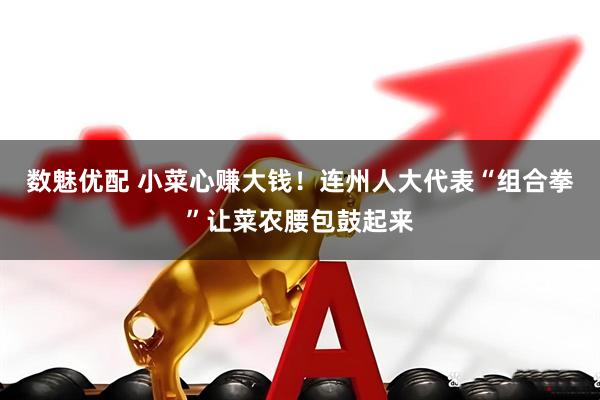 数魅优配 小菜心赚大钱!连州人大代表“组合拳”让菜农腰包鼓起来