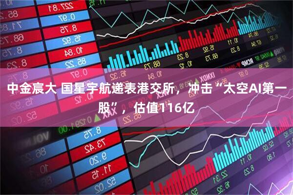 中金宸大 国星宇航递表港交所，冲击“太空AI第一股”，估值116亿
